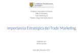 Importancia Estrat©gica Del Trade Marketing (Kari±a Guevara)
