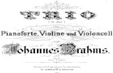 Brahms Piano Trio Op. 8  Full Score