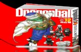 DragonBall Vol 12