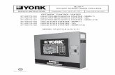 York Max-E Model YR