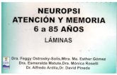 Neuropsi- Laminas