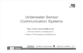 Underwater Sensor [Presentation]