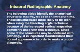 Intra Oral Radiograph Anatomy