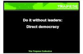 What is Direct Democracy