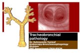 Tracheo Bronchial Pathology