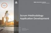 Scrum Overview for Kingfisher