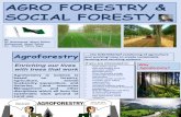 Agro Forestry and social Forestry..ajmal Bhai -nov 2015.pdf