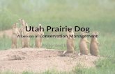 Utah Prairie Dog Presentation.pptx