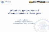 What Do Gates Learn: Visualization & Analysis
