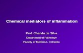 Chemical Mediators of Acute Inflammation 2