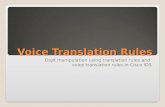 Voice Translation Rules v2