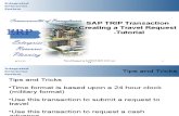 SAP Create a Travel Request Tutorial Trip