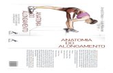 Anatomia Do Alongamento