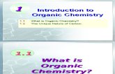 Intro Orgo Chem for Psych Majors