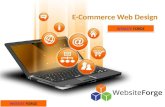 E-commerce Web Development