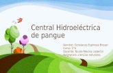 Central Hidroeléctrica de Pangue