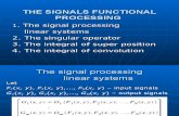 THE SIGNALS FUNCTIONAL PROCESSING