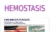 2, Hemostasis   - Vasculer.ppt