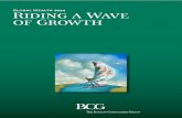 BCG Wealth Report 2014