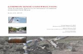 Common Sense Construction CCW Report