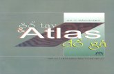 Atlas do ga.PDF