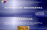 ICTERICIA NEONATAL_L[1].pptx