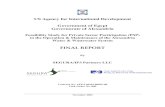 Alexandria PSP: Feasibility Study - Final Report