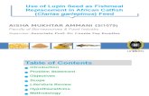 Lupin Seed as replacement for Fishmeal in African Catfish (Clarias gariepienus) Feed