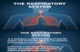 The Respiratory System.pptx