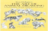 Art Animal Drawing