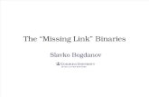 Bogdanov Missing Link Binaries