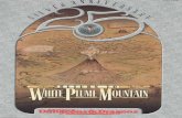 Return to White Plume Mountain Lvl 7-10