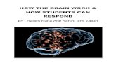 BOOK how the brain work.pdf