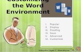 3 OPT-Customize the Word Environment