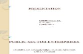 Public Sector Enterprises (2)