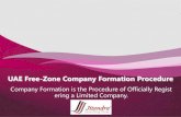 UAE Free-Zone Company Formation Procedure