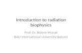 Introduction to Radiation Biophysics
