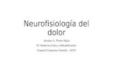 Neurofisiología Del Dolor Titon