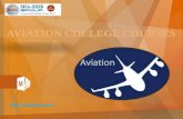 Aviation College Courses