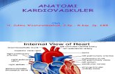 Anatomi Jantung New - Copy - Copy
