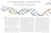 Adleman - Computing With DNA