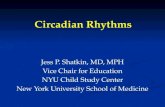 Circadian Rhythms _BB Ver