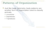 Patterns of Organization Just like body symmetry, body patterns are another form of organization used to classify animals.  Unicellular  Diploblastic.