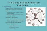 1 The Study of Body Function CHAPTER 1 Physiology –fundamentally represents the study of how living organisms work Molecules  cell  tissue  organ