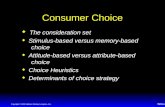 TM 5-1 Copyright © 1999 Addison Wesley Longman, Inc. Consumer Choice  The consideration set  Stimulus-based versus memory-based choice  Attitude-based.