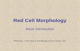 Red Cell Morphology Basic Introduction Reference: Color Atlas of Hematology by Eric Glassy, M.D.