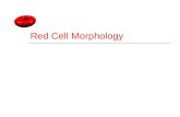Red Cell Morphology. Objectives  Discuss the procedure for proper red blood cell examination  Discuss aspects of red cell morphology related to size.