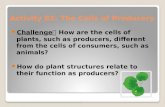 Activity 82: The Cells of Producers Challenge  How are the cells of plants, such as producers, different from the cells of consumers, such as animals?