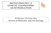 BIOTECHNOLOGY & GENETIC ENGINEERING AN INTRODUCTION Professor Chrissie Rey School of Molecular and Cell Biology.