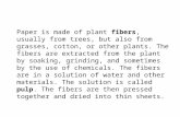 Paper is made of plant fibers, usually from trees, but also from grasses, cotton, or other plants. The fibers are extracted from the plant by soaking,